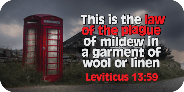 Leviticus 13 59