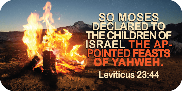 Leviticus 23 44